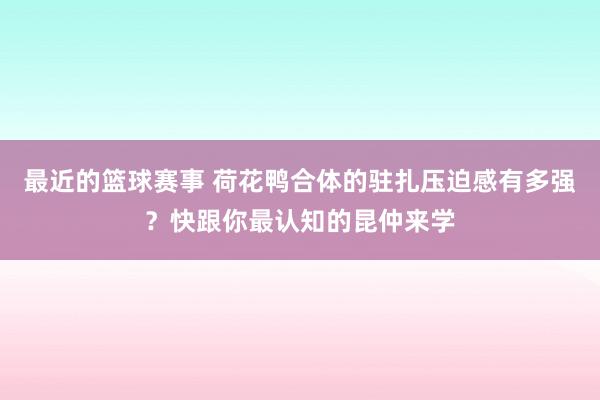 最近的篮球赛事 荷花鸭合体的驻扎压迫感有多强？快跟你最认知的昆仲来学